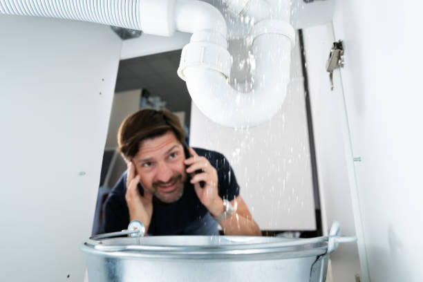 Best Local Plumber Services  in Westfield, PA